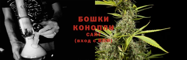 PSILOCYBIN Касимов