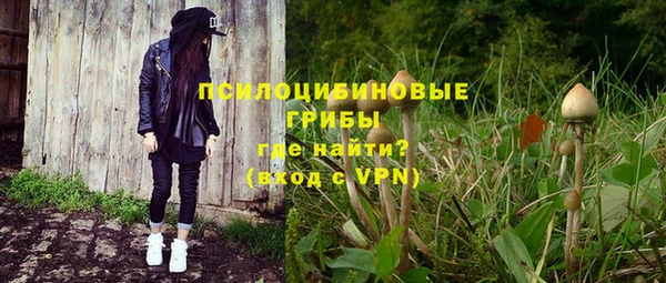 первитин Карпинск